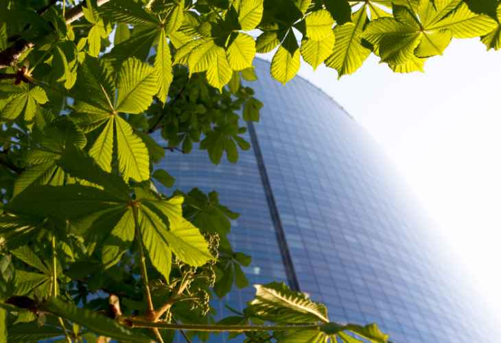 Start a Successful Green Business